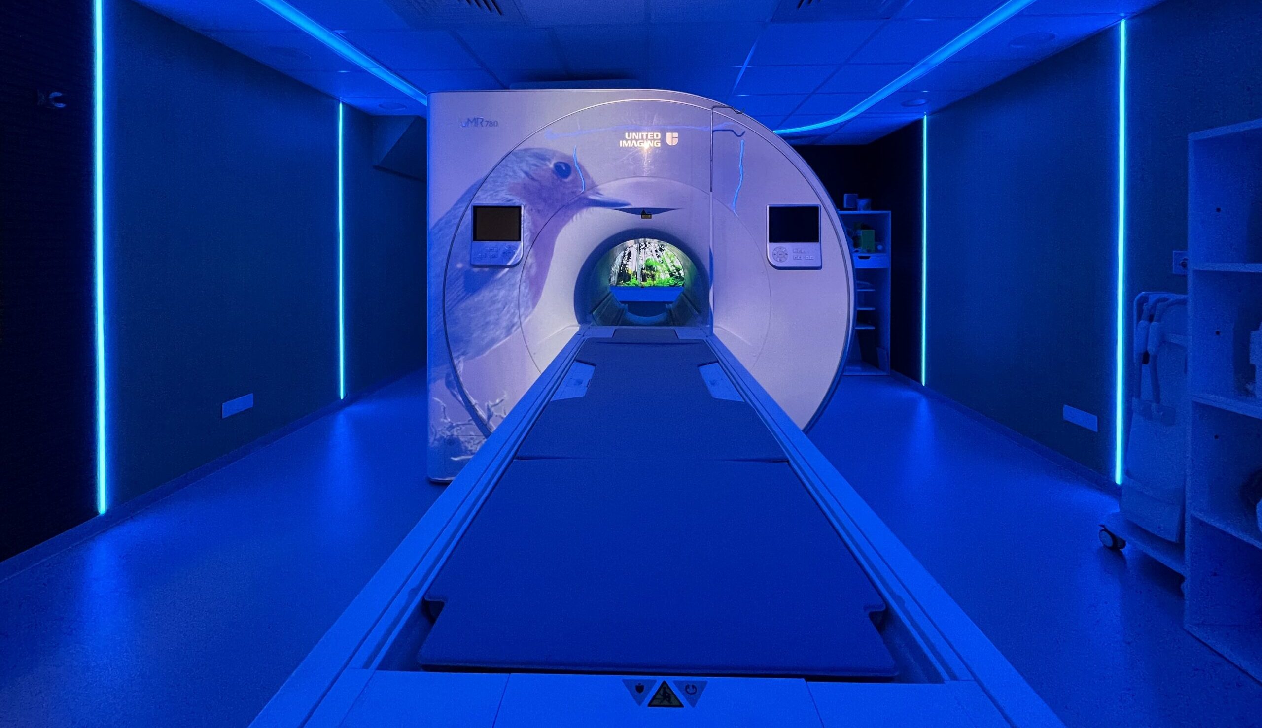 Ambient experience, in-bore, patient experience, MR examination, MR demo, MRI Ambient Experience, Imaging