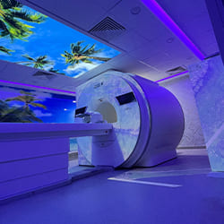 Integration-Ready Interior, MRI-Post Processing Applications